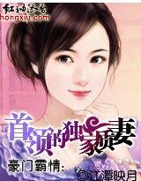 豪门霸情:首领的独家质妻
