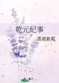 乾元纪事