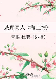 海上情