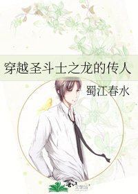 穿越圣斗士之龙的传人